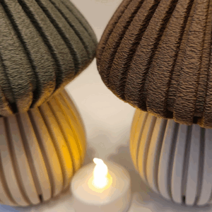 Cozy Cap Collection